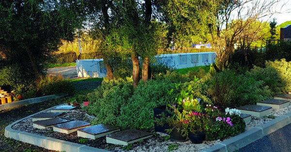 Columbarium au fil du temps avec végétation